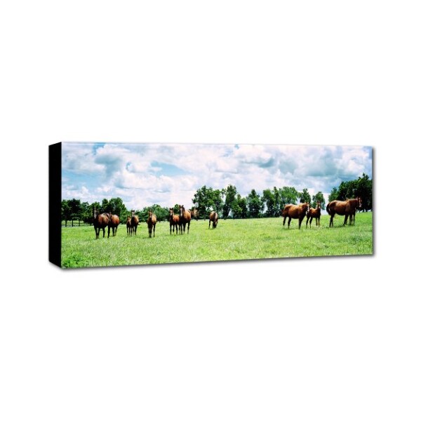 Preston 'Kentucky Horse 5' Canvas Art,10x32